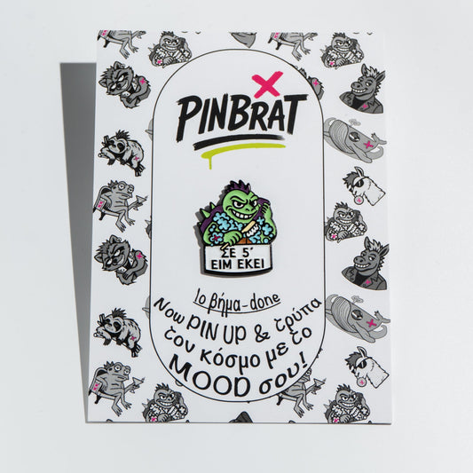Product packaging with 'Pinbrat' branding and a turtle cartoon character on a white background